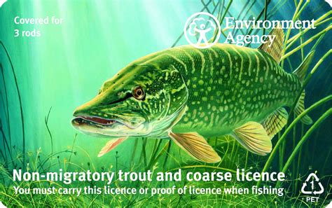 rod fishing licence|Fishing Licence UK .